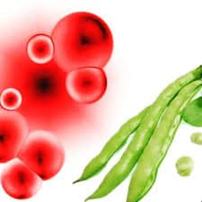 بیماری باقلایی (فاویسم )